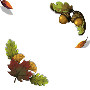 fall_leaves_woodland — çərçivə